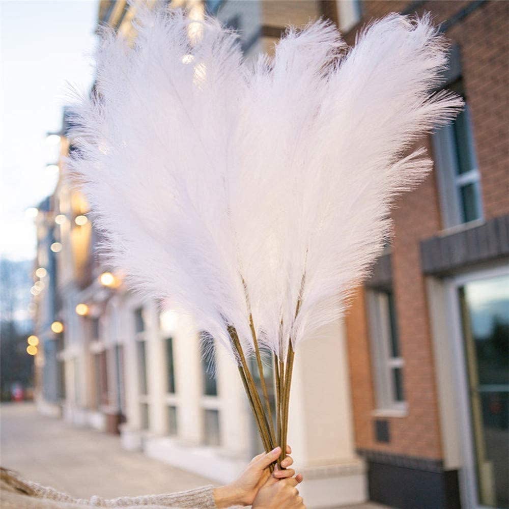 BALTOS SPALVOS | Pampas Plume - Pūkuotos Smilgos