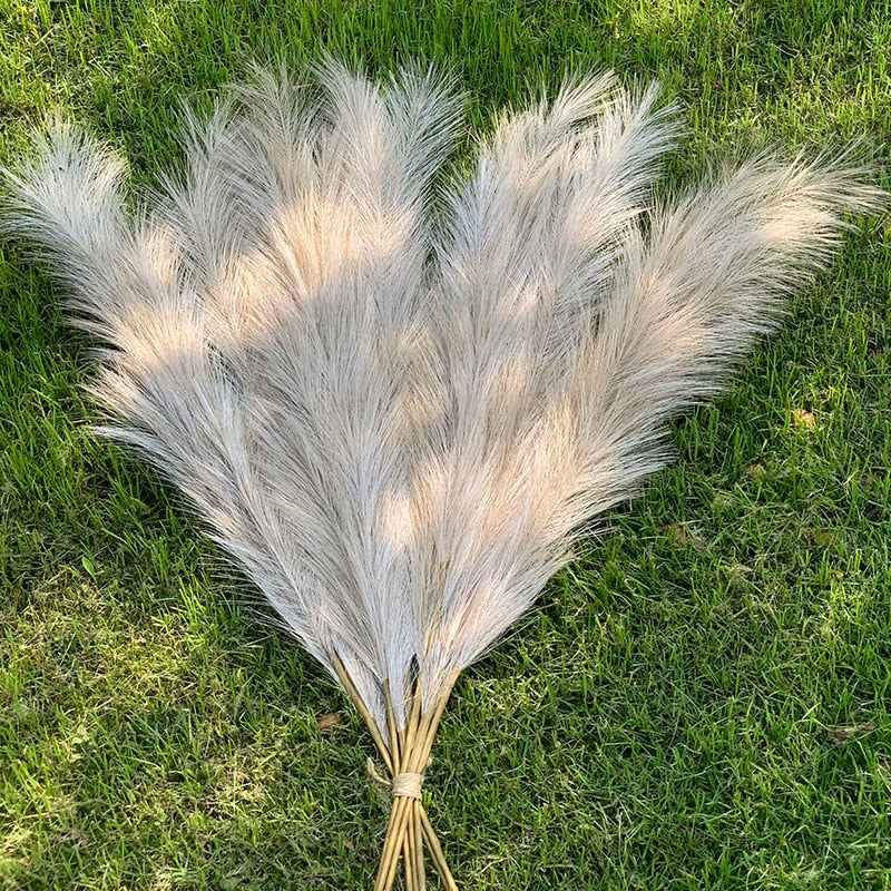 Dekoratyvinės Pūkuotos Smilgos - Plume Pampas
