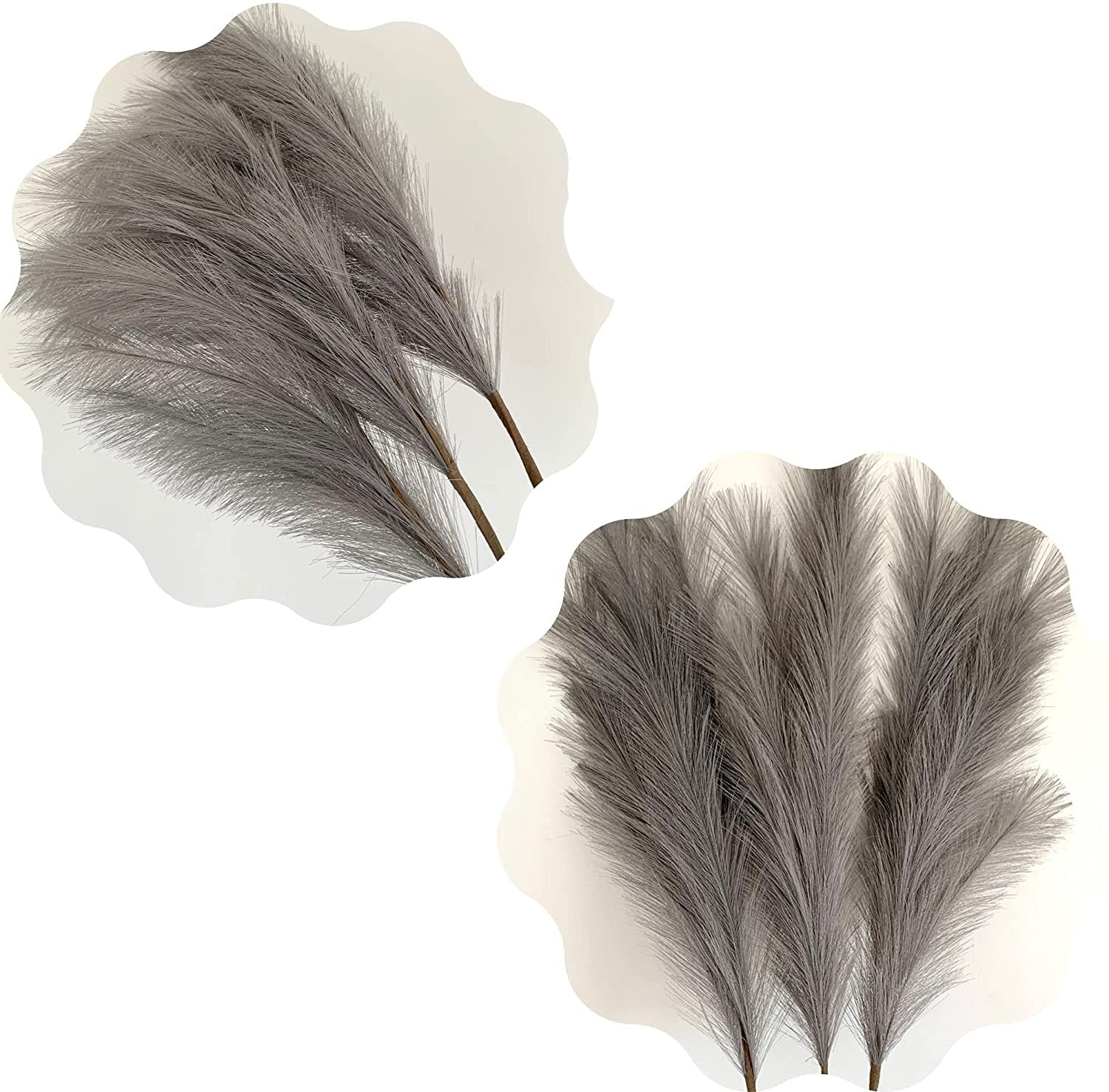PILKOS SPALVOS | Pampas Plume - Pūkuotos Smilgos