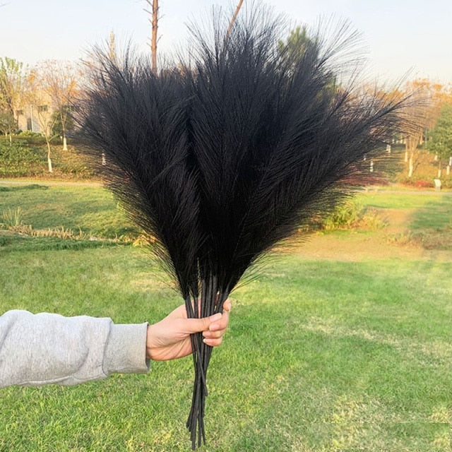 Dekoratyvinės Pūkuotos Smilgos - Plume Pampas