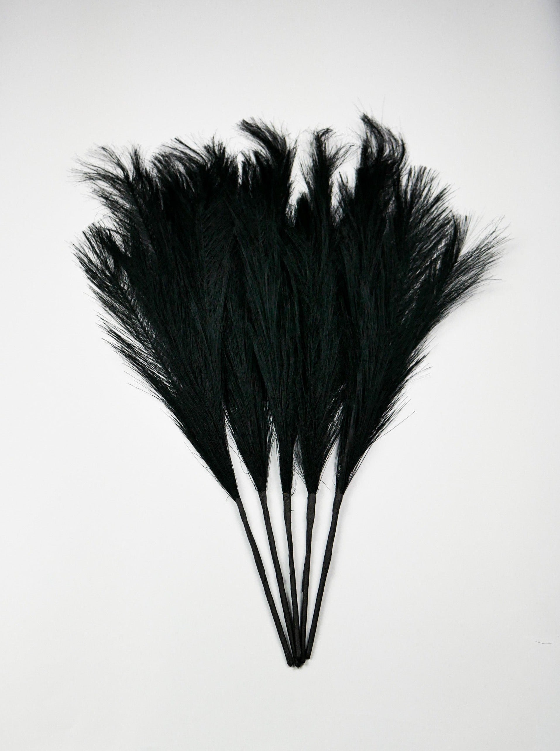 Dekoratyvinės Pūkuotos Smilgos - Plume Pampas