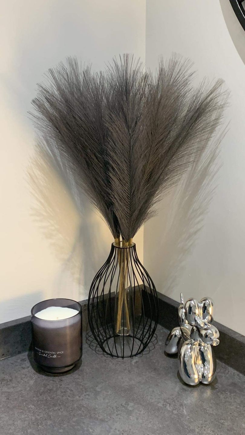 PILKOS SPALVOS | Pampas Plume - Pūkuotos Smilgos
