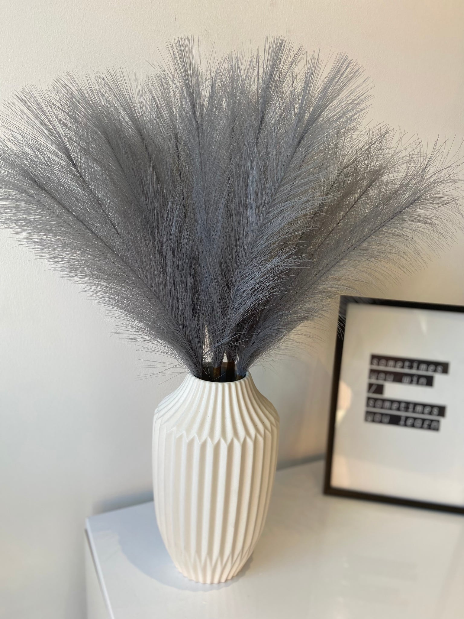 PILKOS SPALVOS | Pampas Plume - Pūkuotos Smilgos