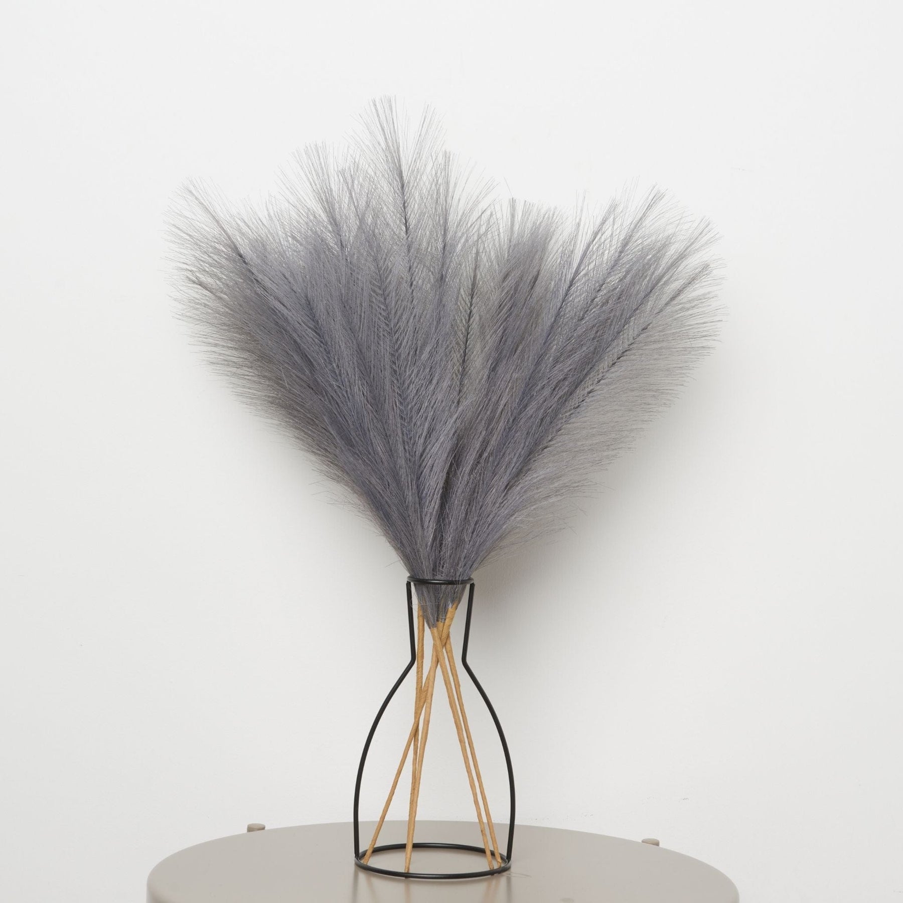 PILKOS SPALVOS | Pampas Plume - Pūkuotos Smilgos