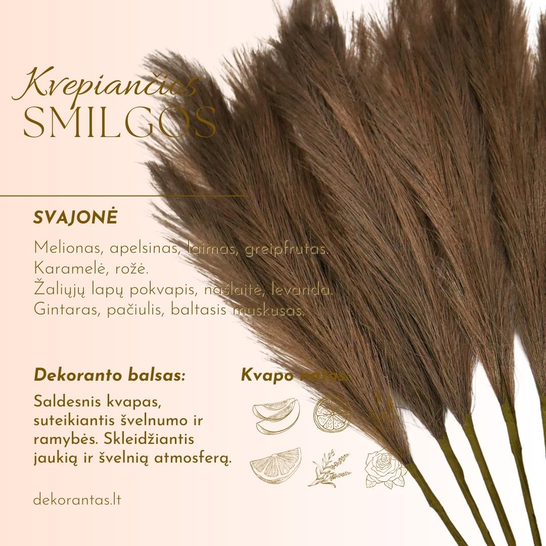 Kvepiančios Dekoratyvinės Pūkuotos Smilgos