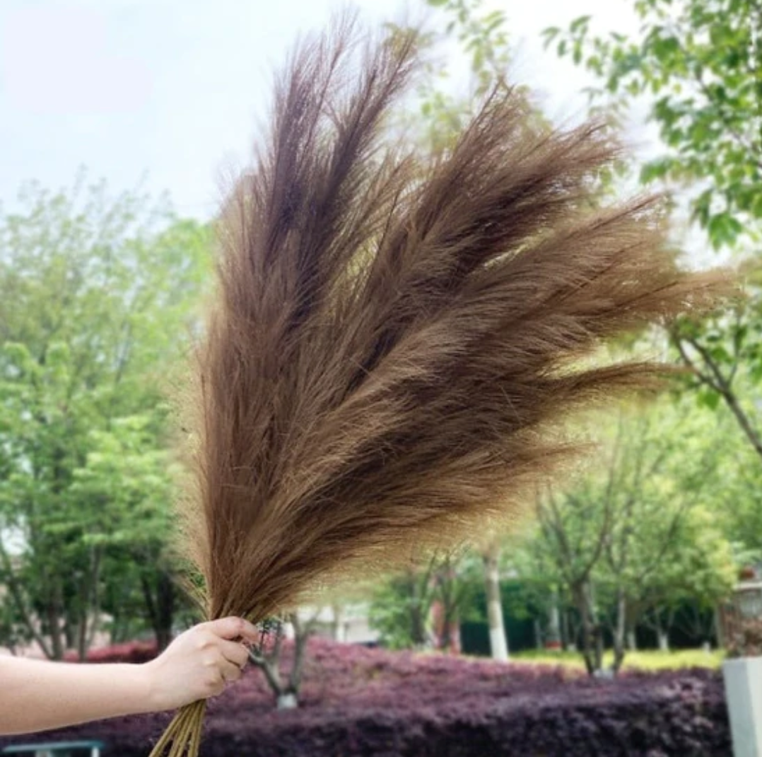 TAMSIAI RUDOS SPALVOS | Pampas Plume - Pūkuotos Smilgos