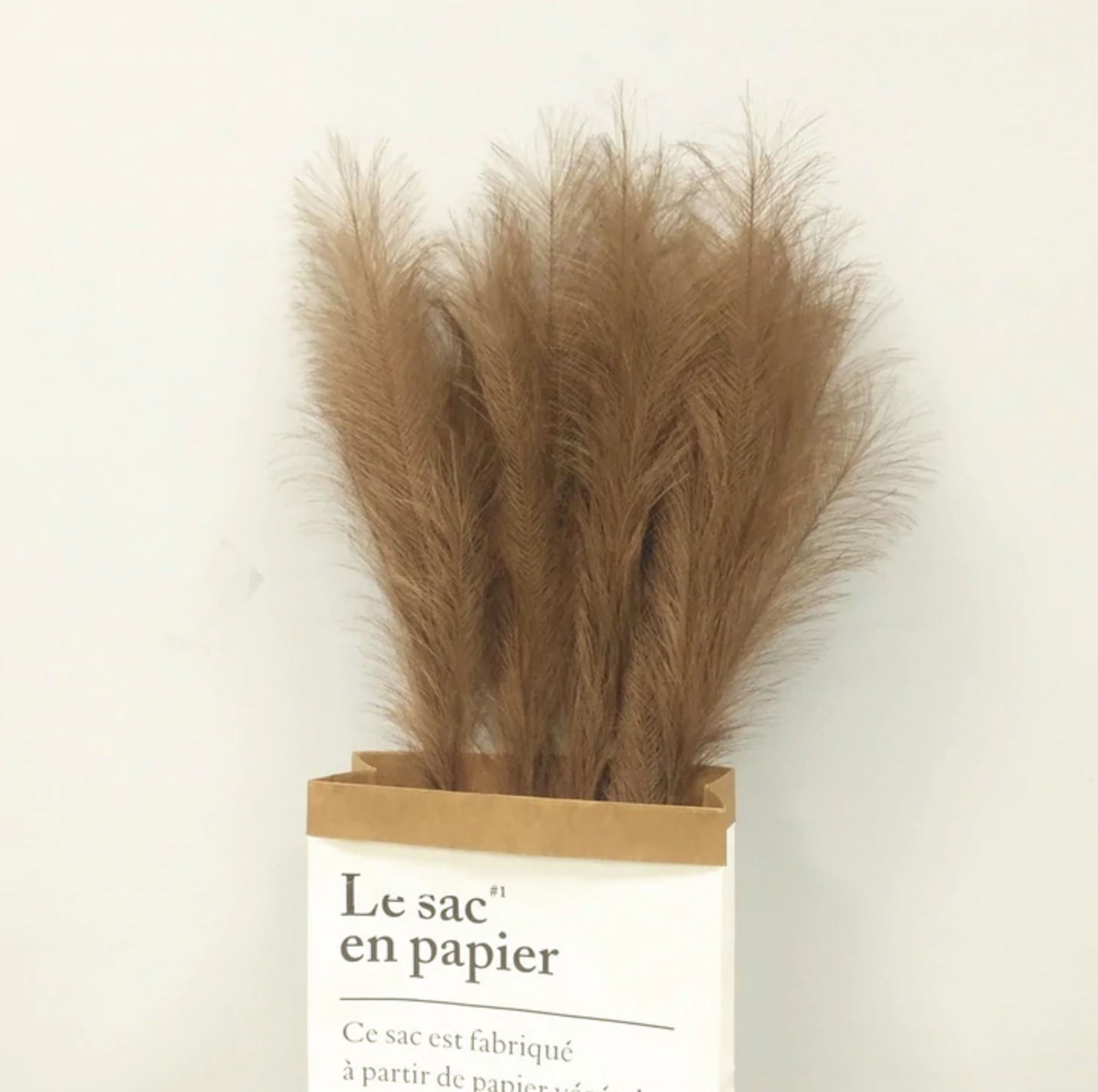 TAMSIAI RUDOS SPALVOS | Pampas Plume - Pūkuotos Smilgos