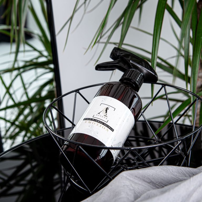 asscents-aromatizuotas-kvapnus-namu-valiklis