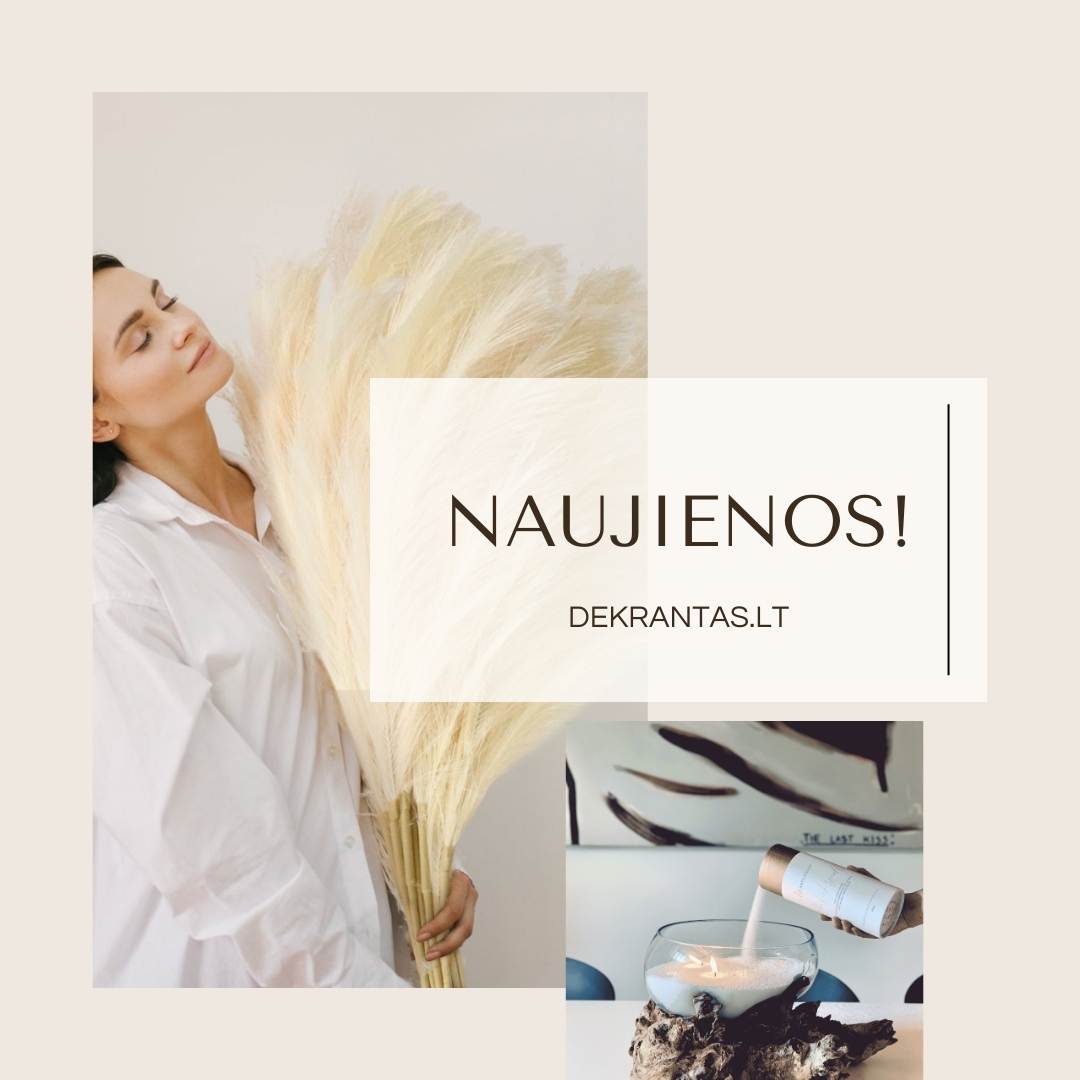 Naujienos! ⭐️