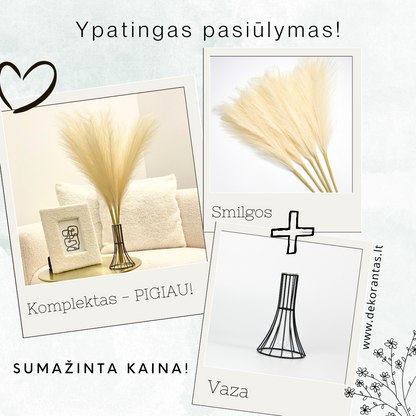 KOMPLEKTAS! Smilgos + vaza