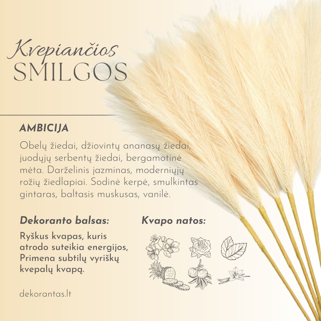 Kvepiančios Dekoratyvinės Pūkuotos Smilgos