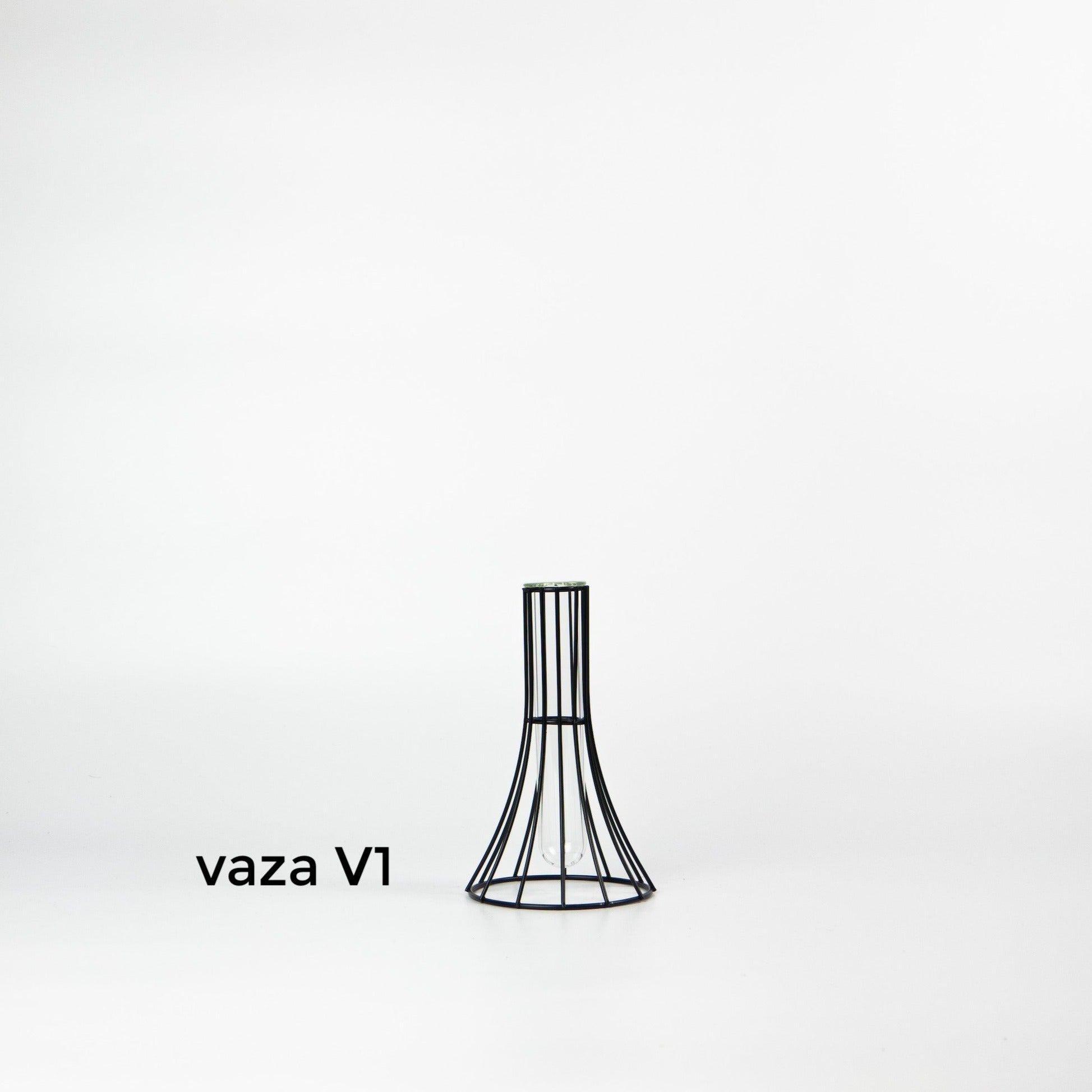 metaline-vaza-lietuvoje