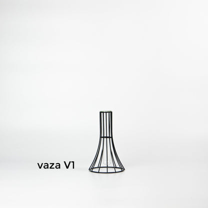 metaline-vaza-lietuvoje