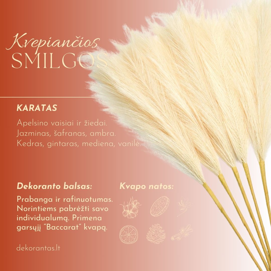 Kvepiančios Dekoratyvinės Pūkuotos Smilgos