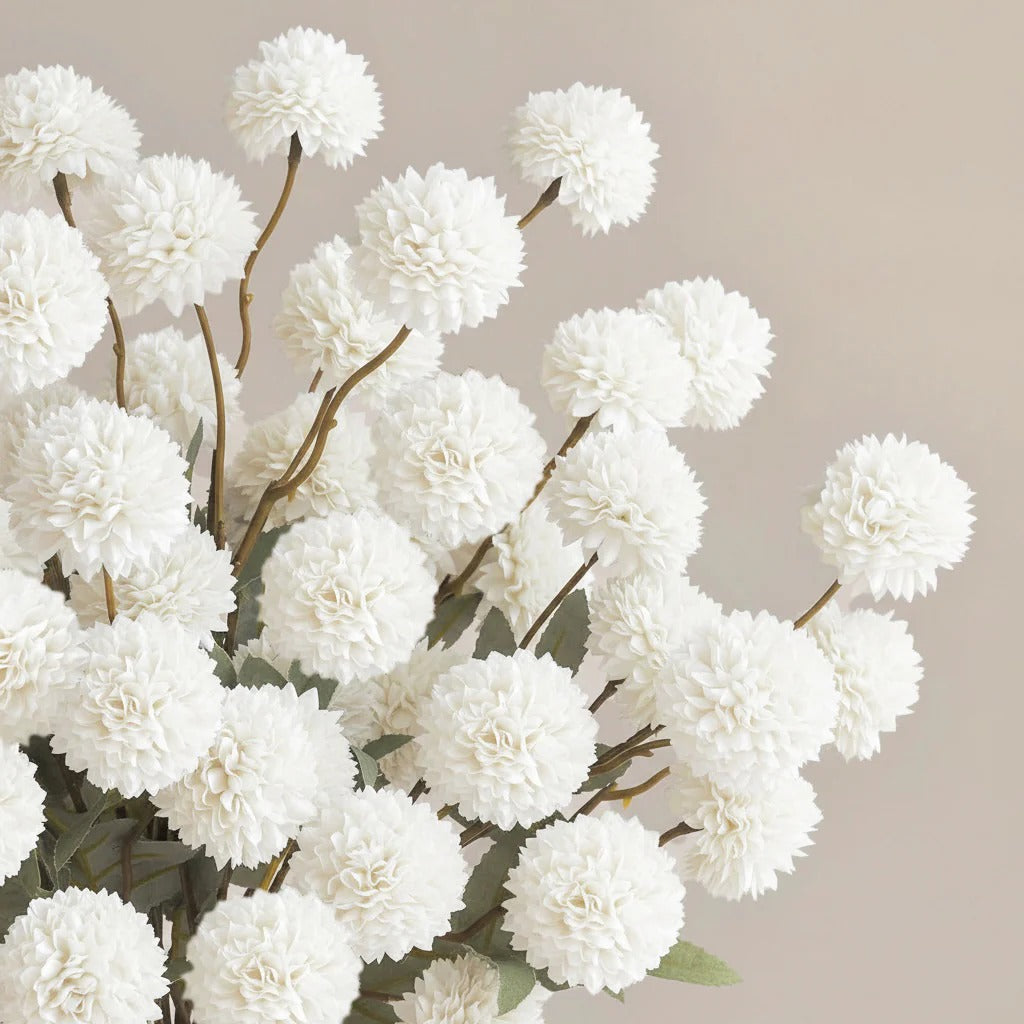 Dekoratyvinės Mini Kiku gėlės