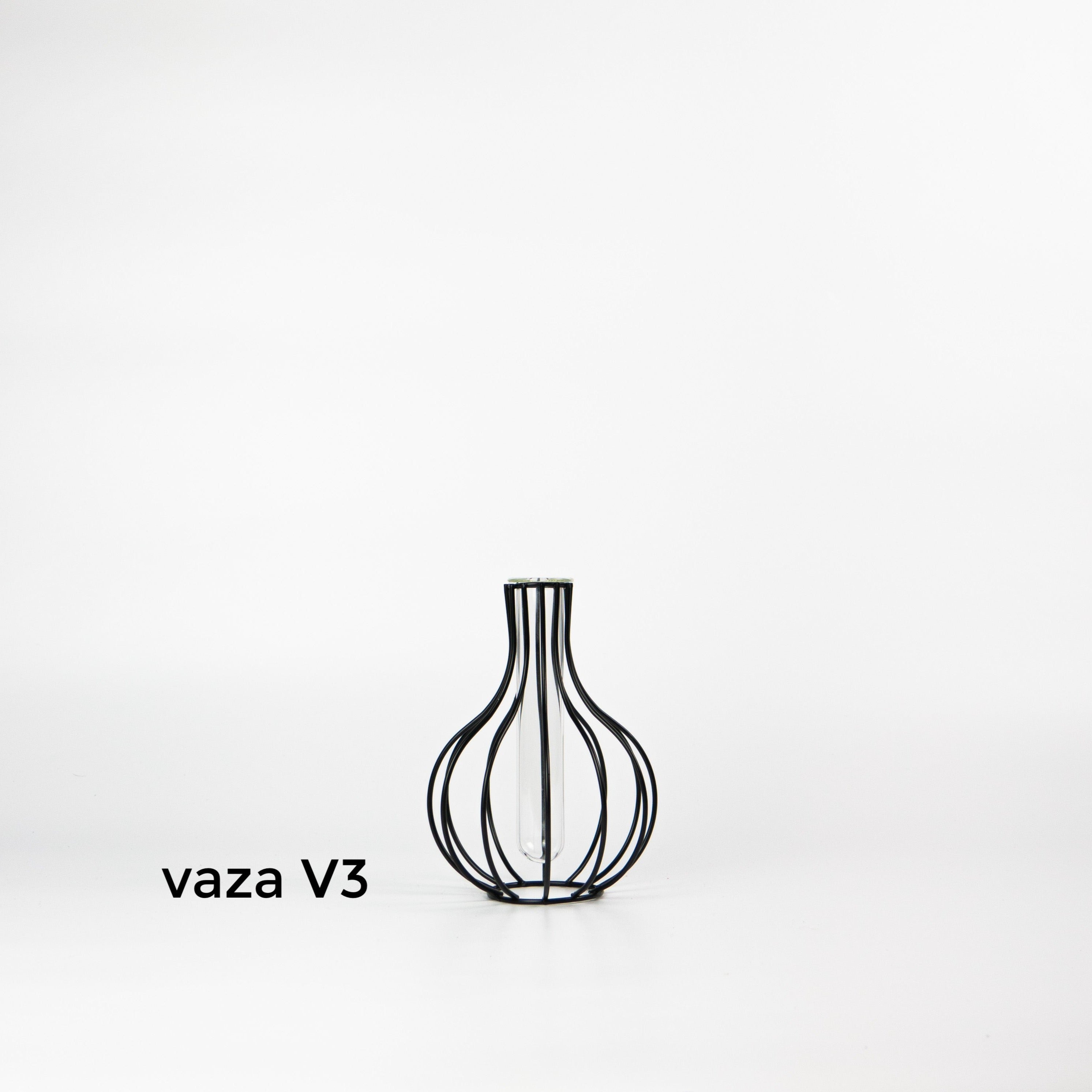 vazos-lietuvoje-gelems