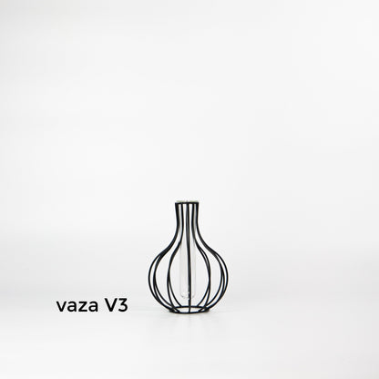 vazos-lietuvoje-gelems