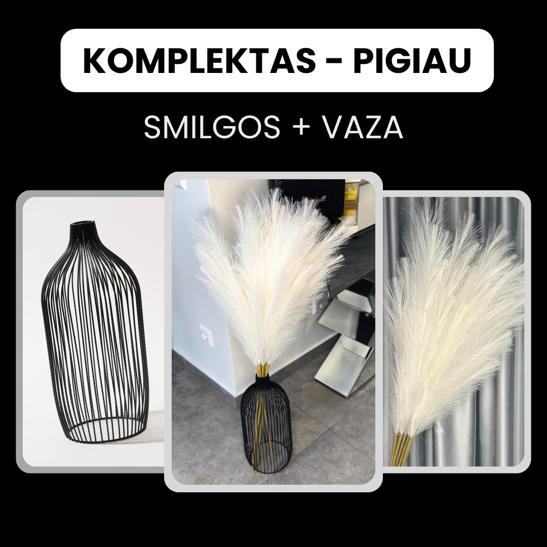 KOMPLEKTAS! Aukštos Smilgos + aukšta vaza