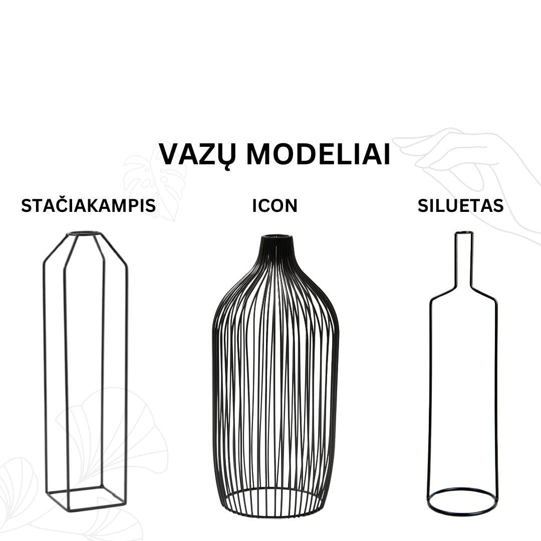 KOMPLEKTAS! Aukštos Smilgos + aukšta vaza