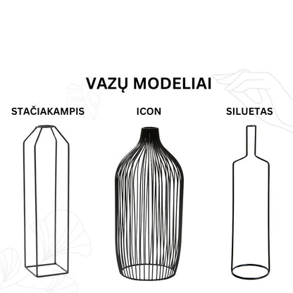 KOMPLEKTAS! Aukštos Smilgos + aukšta vaza