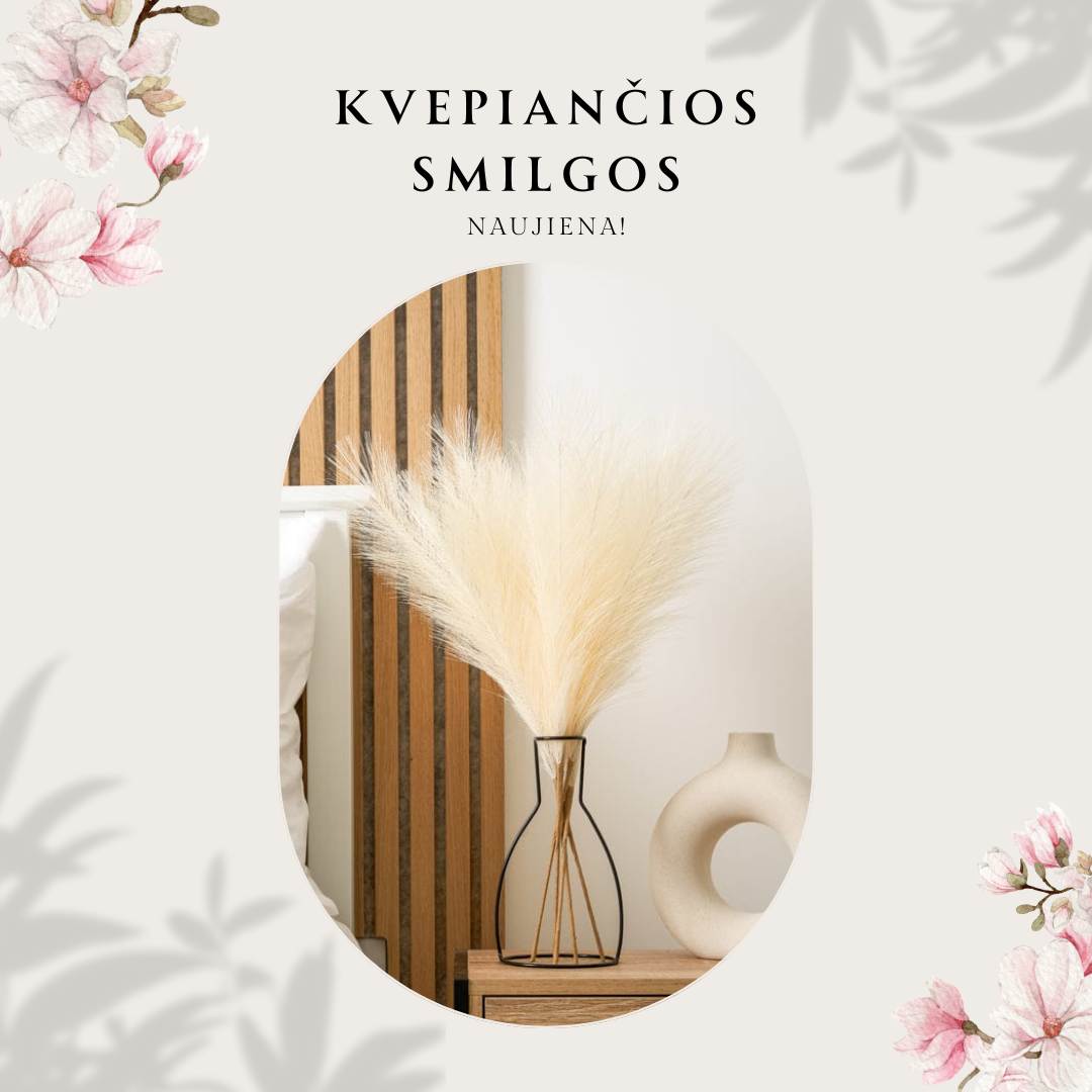 Kvepiančios Dekoratyvinės Pūkuotos Smilgos