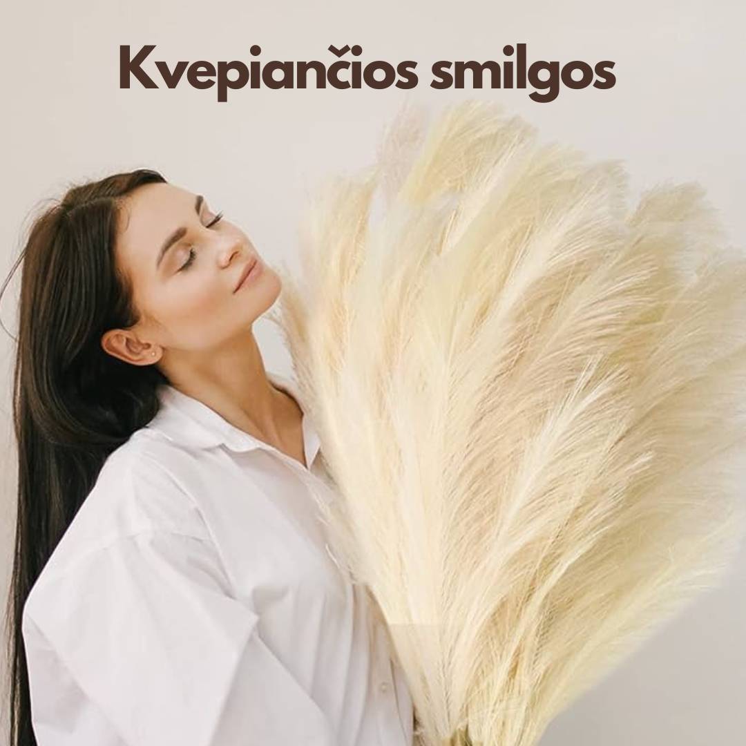 Kvepiančios Dekoratyvinės Pūkuotos Smilgos