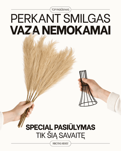 Smilgos +VAZA NEMOKAMAI!