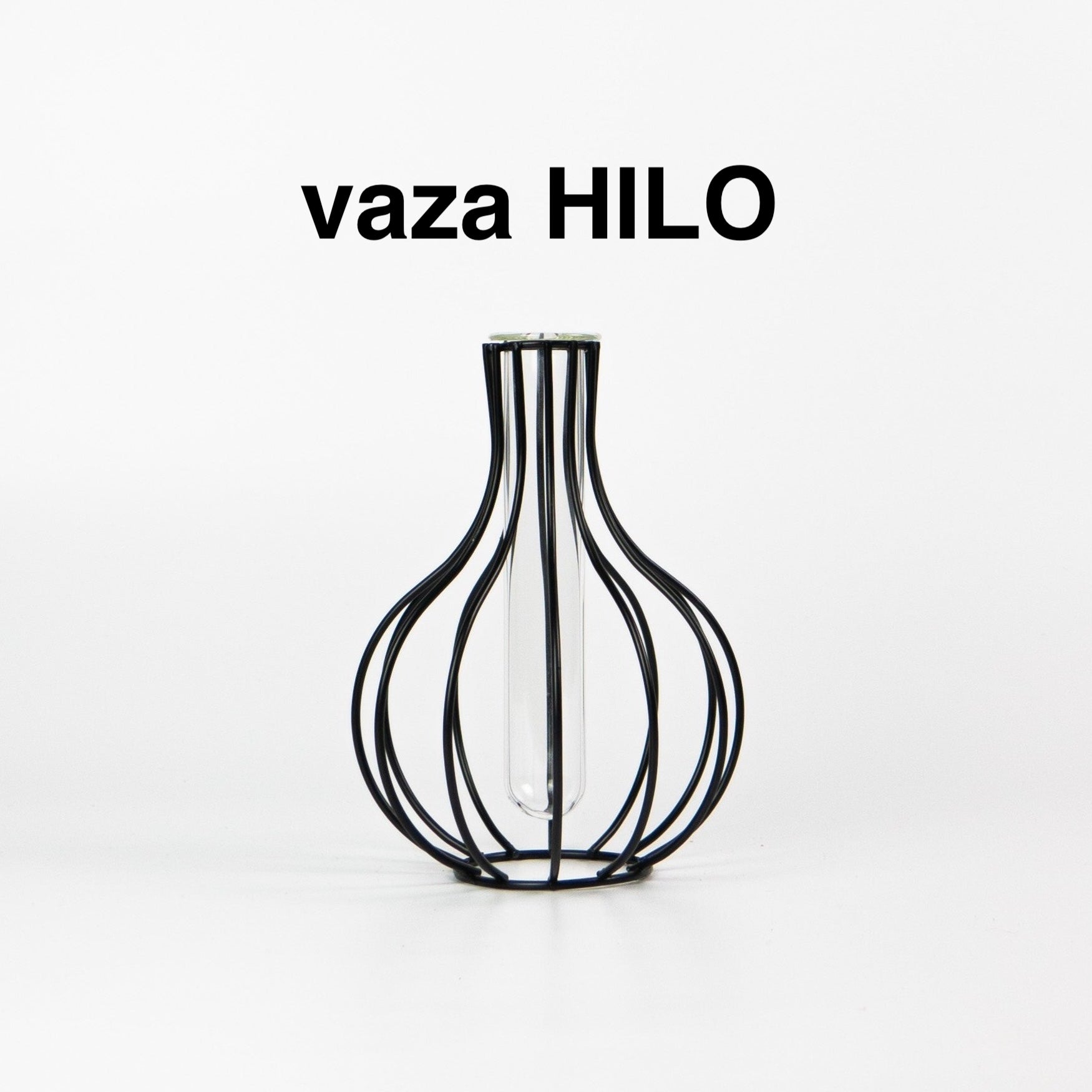 Smilgos +VAZA NEMOKAMAI!