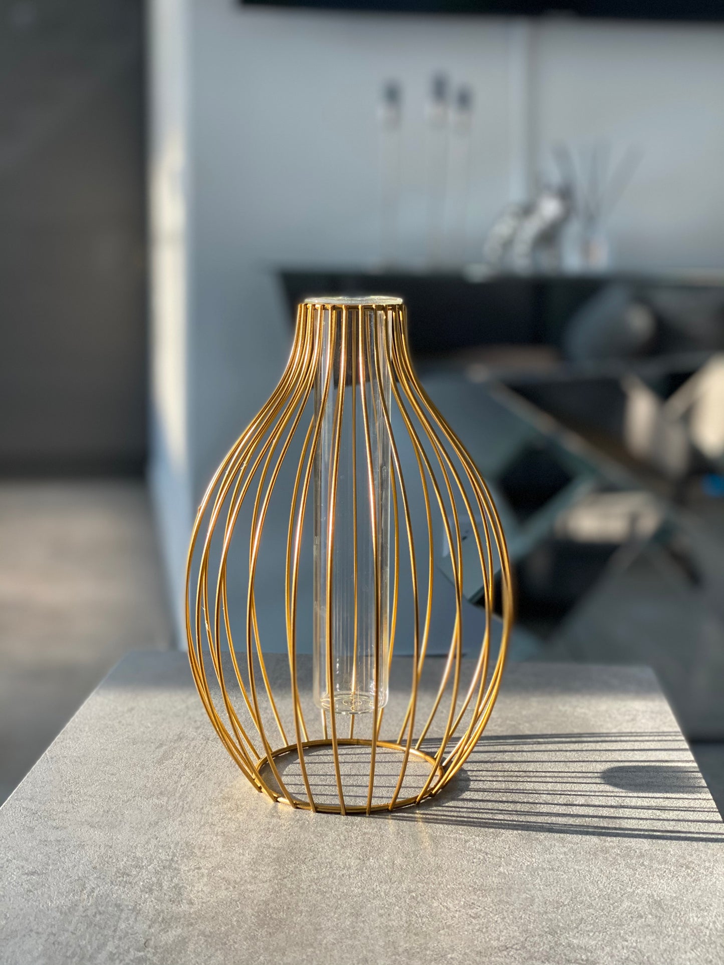 Moderni Metalinė Vaza - Aukso spalvos