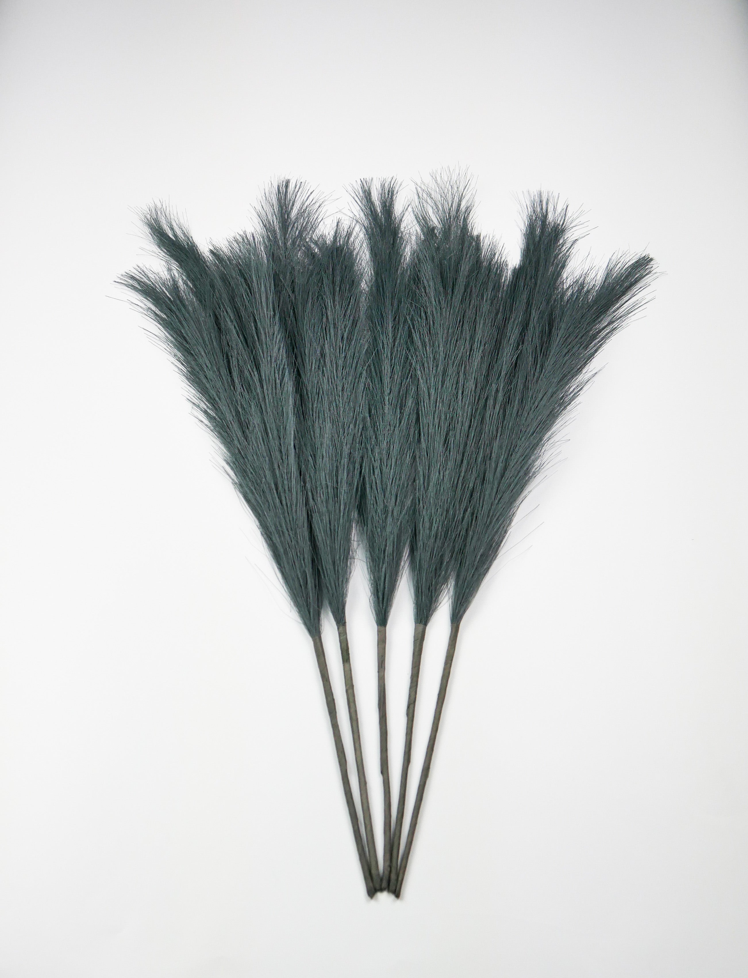 Dekoratyvinės Pūkuotos Smilgos - Plume Pampas